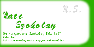 mate szokolay business card